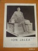 Album Ion Jalea