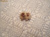 Brosa din argint. Elefant. 3 agate si marcasite