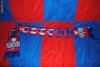 fular bayern munchen 2