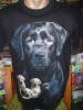 TRICOURI (TRICOU) diverse imperimeuri FAMILIE CATEI
