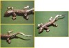 Brosa SOPARLA, argint, veche