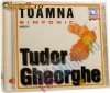 TUDOR GHEORGHE - TOAMNA SIMFONIC  (CD) SIGILAT!!! (ALVio)