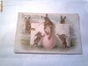 Carte Postala - Christos a inviat ! 12  Circulata 12 apr.1902