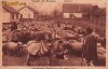 Romania,carte postala necirculata apr.1920: Ciobani cu oi,folklor
