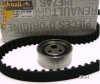 KIT DISTRIBUTIE LOGAN , SUPER NOVA SOLENZA, 1.4, 1.6