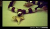 Lantisoare Piele Dinte Rechin MAKO Australia