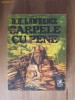 D. H. Lawrence - Sarpele cu pene