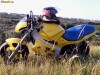 Vand Gilera Dna