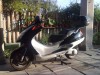 Scuter Honda Phanteon