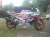 honda cbr 600