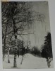  BUCURESTI - VEDERE DIN GRADINA BOTANICA  - carte postala circulata anul 1960 / vedere / ilustrata