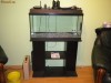 ACVARIU MOBILIER