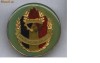insigna pionier pentru apararea patriei insigna pionier pentru apararea patriei