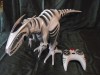 Robot dinozaur electronic  WOW WEE
