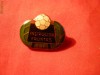 Insigna Fotbal -Instructor Fruntas FRF