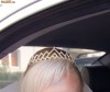 Diadema