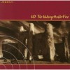 U2-The Unfoghettable Fire LP Vinyl 180g,  Audiophile