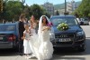 Vand Rochie Mireasa Pronovias Model 2011