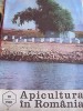 APICULTURA IN ROMANIA - OCTOMBRIE 1981