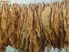 tutun frunze burley natural loc pitesti