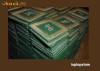 P8400 Procesor Intel  CORE 2 DUO  2.26 ghz , 3M CACHE 1066 ,  FSB MHZ