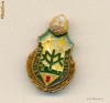 Insigna  Alpinist Militar  clasa 3
