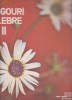TANGOURI CELEBRE II ~VINIL
