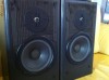 Boxe JBL LX 300
