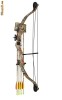 ARC COMPOUND 33 NOU !!! - 399 LEI