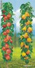 PAR COLUMNAR (special pt. BALCON, TERASA sau GRADINA)