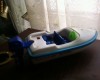 barca cu motor  speedy ride