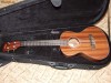 Kala Solid Mohany Tenor