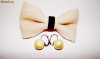 set cercei si accesoriu par