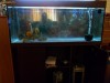 acvariu juwel rio 240 l