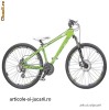 CROSS BICICLETA SPOTSTER FRANA V