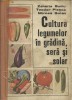 Cultura legumelor in gradina, sera si solar
