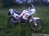 vand sau schimb Cagiva elefant