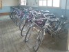 Biciclete en gros Germania-Austria