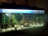 ACVARIU 200L echipat inclusiv pesti