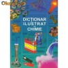 Dictionar ilustrat de chimie