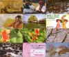 LOT 12 cartele telefonice Romania 2