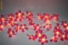 Luminite in forma de flori Frangipani Fairy Light 4.2M 35 Bulbs
