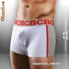 cod / voucher de reducere 24% cbstore cbstore.eu site Botezatu