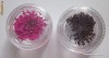 Flori uscate presate, floricele decor pentru modele decor unghii, nail art 3D, constructie unghii false, manichiura nr 4