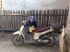 scuter honda sh50