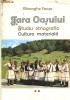 Anticariat Ion Andrei - Tara Oasului- studiu etnografic- cultura materiala- vol.II - Autor : Gheorghe Focsa - 67033