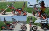 Chopper Black widow mini