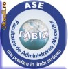 Lucrare licenta ASE in limba engleza (FABIZ)