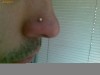 Execut piercinguri, gauri cercei diferite zone ale fetei si ale corpului.