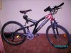 Bicicleta mckenzie hill 300 import germania